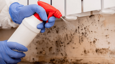 Mold Remediation