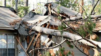 Storm Damage Cleanup